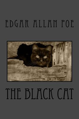 The Black Cat Paperback Createspace Independent Publishing Platform