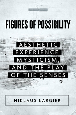 Figures of Possibility: Aesthetic Experience, Mysticism, and the Play of the Senses Stanford University Press