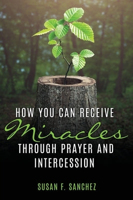 How You Can Receive Miracles Through Prayer and Intercession Paperback Xulon Press