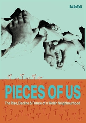 Pieces of Us Paperback Cambria Books