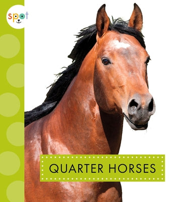 Quarter Horses Paperback Amicus Ink
