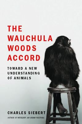 Wauchula Woods Accord Paperback Scrb - Scribner MacMillan