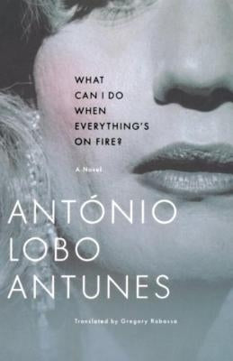 What Can I Do When Everything's on Fire? Paperback W. W. Norton & Company