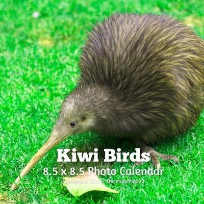 Kiwi Birds 8.5 X 8.5 Calendar September 2021 -December 2022: Monthly Calendar with U.S./UK/ Canadian/Christian/Jewish/Muslim Holidays-Bird Animal Natu Paperback Independently Published