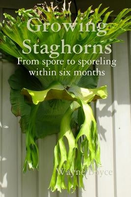 Growing Staghorns from Spore Paperback Lulu.com