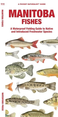 Manitoba Fishes: A Waterproof Folding Guide to Native and Introduced Freshwater Species Paperback Waterford Press
