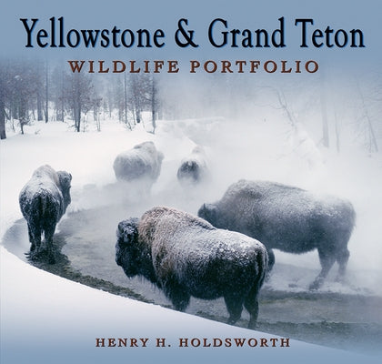Yellowstone & Grand Teton Wildlife Portfolio (Sc) Paperback Farcountry Press