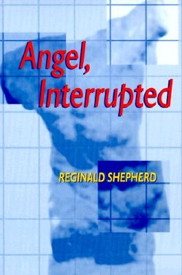 Angel Interrupted Paperback University of Pittsburgh Press