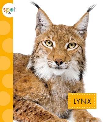 Lynx Paperback Amicus Ink