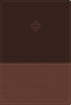 Amplified Study Bible, Imitation Leather, Brown, Indexed Zondervan