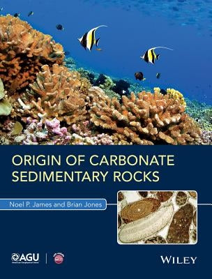 Origin of Carbonate Sedimentary Rocks Paperback American Geophysical Union