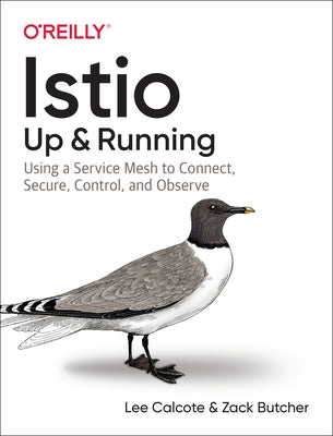 Istio: Up and Running: Using a Service Mesh to Connect, Secure, Control, and Observe Paperback O'Reilly Media