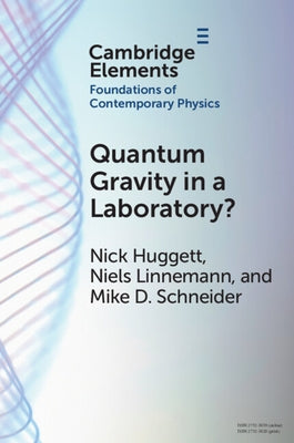 Quantum Gravity in a Laboratory? Paperback Cambridge University Press