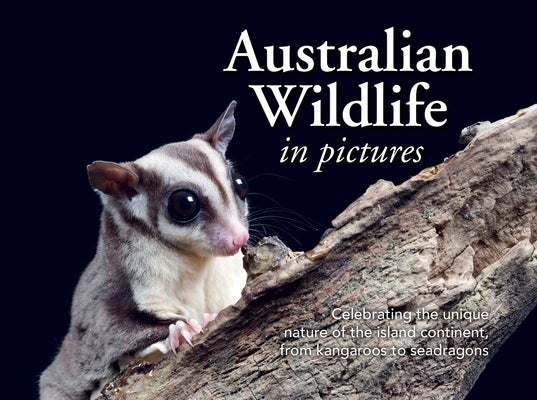 Australian Wildlife in Picture: Celebrating the Unique Nature of the Island Continent, from Kangaroos to Sea Dragons Paperback New Holland Publishers