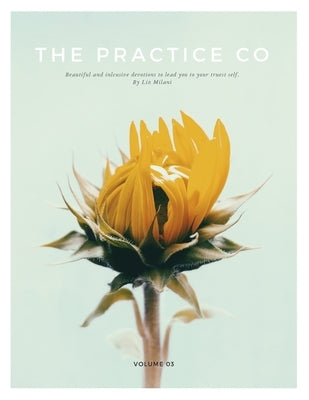 The Practice Co - Volume Three New Luminary Media