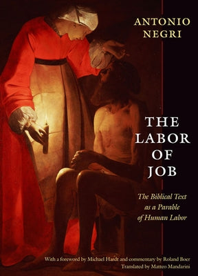 The Labor of Job: The Biblical Text as a Parable of Human Labor Paperback Duke University Press