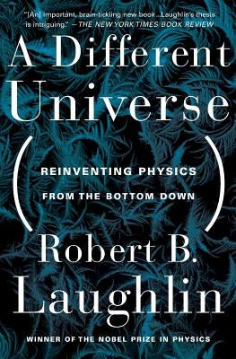 A Different Universe: Reinventing Physics From the Bottom Down Paperback Basic Books