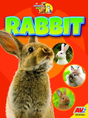 Rabbit Paperback Av2