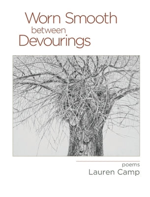 Worn Smooth Between Devourings Paperback NYQ Books