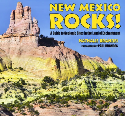 New Mexico Rocks!: A Guide to Geologic Sites in the Land of Enchantment Mountain Press