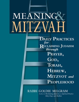Meaning & Mitzvah: Daily Practices for Reclaiming Judaism Through Prayer, God, Torah, Hebrew, Mitzvot and Peoplehood Paperback Jewish Lights Publishing