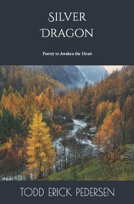 Silver Dragon Paperback Independently Published
