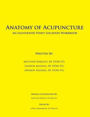Anatomy of Acupuncture: An Illustrated Point Location Workbook Paperback Createspace Independent Publishing Platform