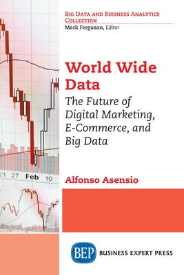 World Wide Data: The Future of Digital Marketing, E-Commerce, and Big Data Paperback Business Expert Press
