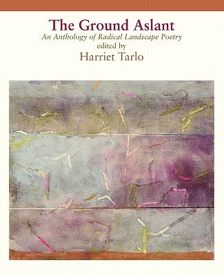 The Ground Aslant - Radical Landscape Poetry Paperback Shearsman Books