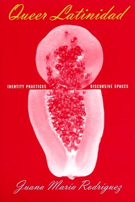 Queer Latinidad: Identity Practices, Discursive Spaces Paperback New York University Press