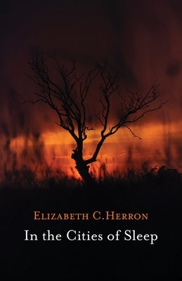 In the Cities of Sleep Paperback Fernwood Press