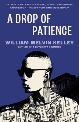 A Drop of Patience by Kelley, William Melvin