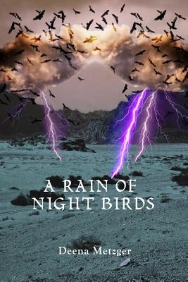 A Rain of Night Birds Paperback Hand to Hand