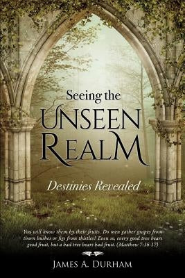 Seeing the Unseen Realm Paperback Xulon Press