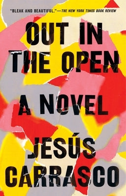 Out in the Open Paperback Penguin Publishing Group