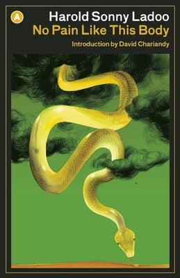 No Pain Like This Body Paperback House of Anansi Press