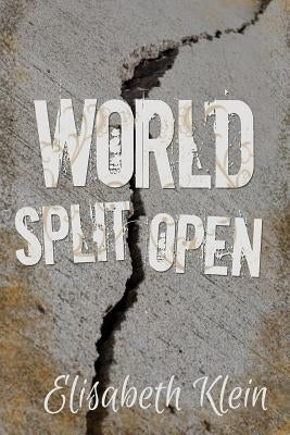 World Split Open Paperback Redemption Press