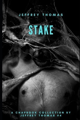 Stake: Three Stories From Punktown Paperback Independently Published