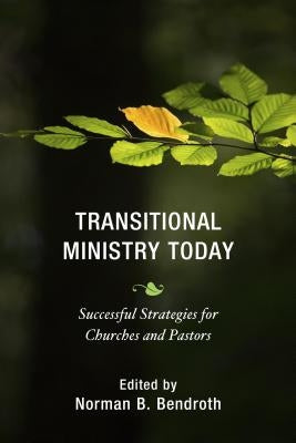 Transitional Ministry Today: Successful Strategies for Churches and Pastors Paperback Rowman & Littlefield Publishers