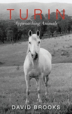 Turin: Approaching Animals Paperback Blue Books