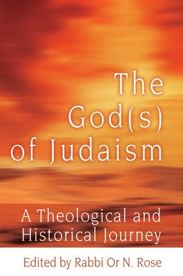 The God Upgrade: Finding Your 21st-Century Spirituality in Judaism's 5,000-Year-Old Tradition Paperback Jewish Lights Publishing