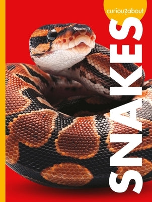 Curious about Snakes Paperback Amicus Ink