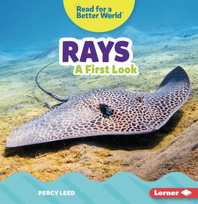 Rays: A First Look Paperback Lerner Publications (Tm)