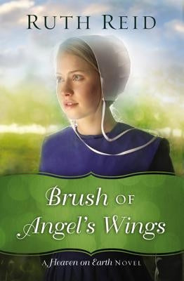 Brush of Angel's Wings Paperback Thomas Nelson