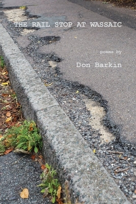 The Rail Stop at Wassaic Paperback Antrim House