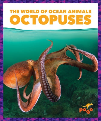 Octopuses Paperback Pogo Books