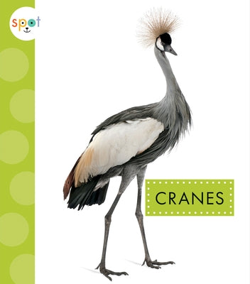 Cranes Paperback Amicus