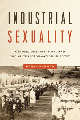 Industrial Sexuality: Gender, Urbanization, and Social Transformation in Egypt Paperback University of Texas Press
