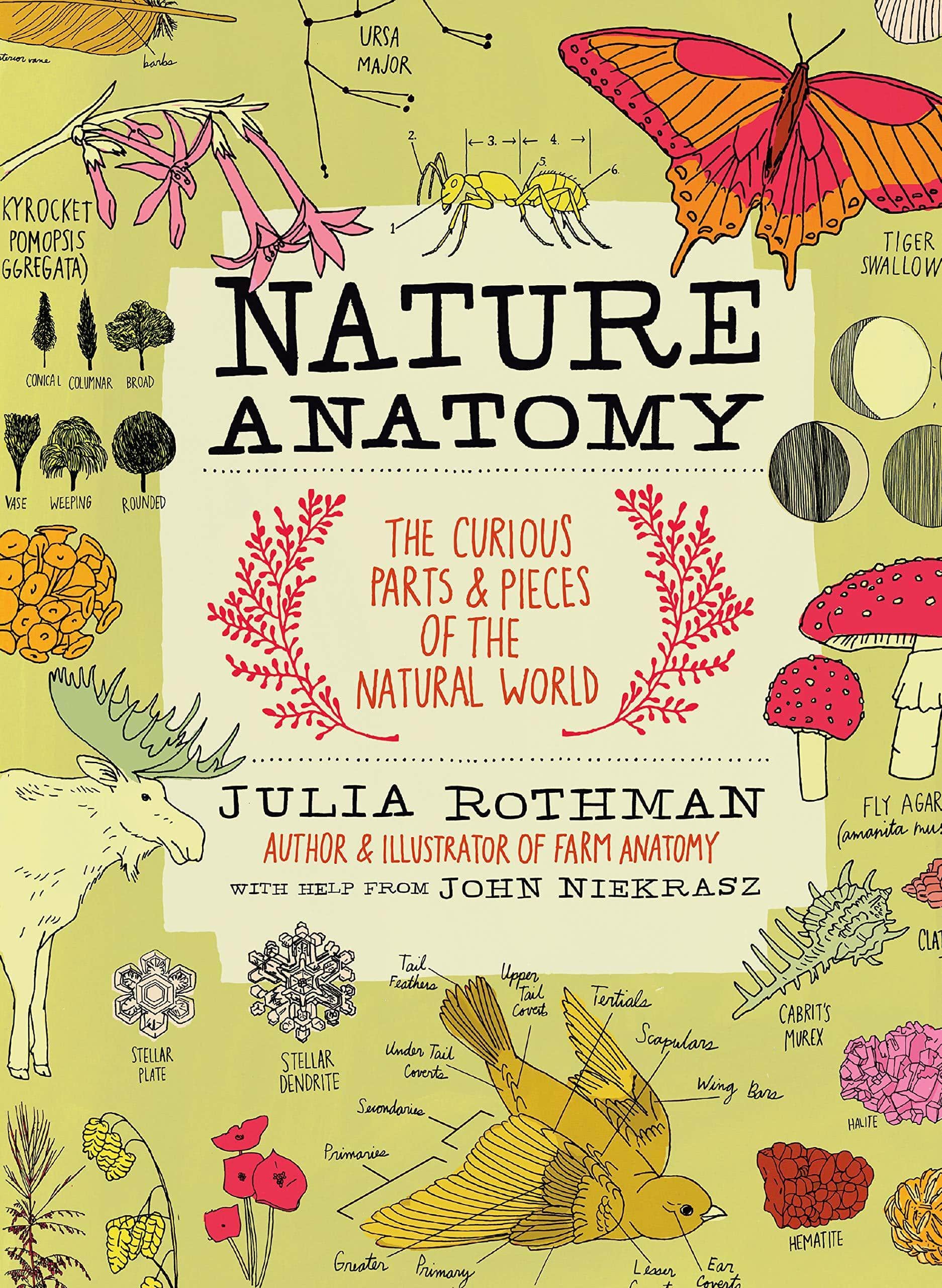 Nature Anatomy: The Curious Parts and Pieces of the Natural World Art & Photography Julia Rothman