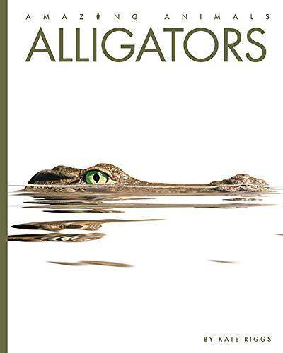 Alligators Animals Kate Riggs